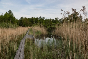 Thorsten-Lasrich-korenburger-Veen-6