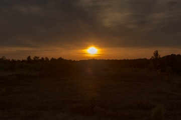 Sonnenuntergang im Korenburgerveen I