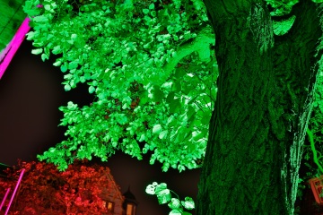 Thorsten-Lasrich-Recklinghausen-leuchtet-38