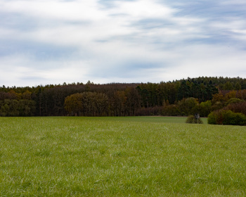 Wald, Feld und Wiesen