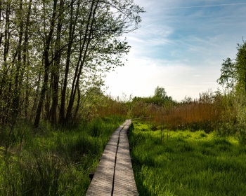Thorsten-Lasrich-korenburger-Veen-2
