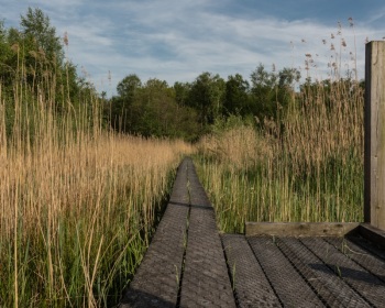 Thorsten-Lasrich-korenburger-Veen-4