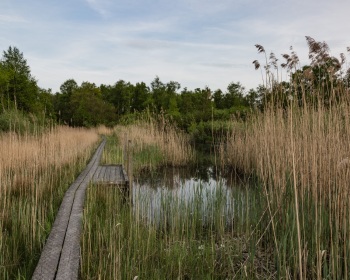Thorsten-Lasrich-korenburger-Veen-6