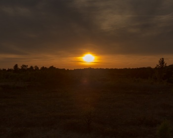 Sonnenuntergang im Korenburgerveen I
