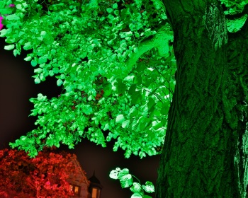 Thorsten-Lasrich-Recklinghausen-leuchtet-38