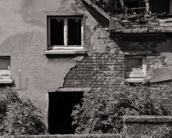 Blick über die Gartenmauer