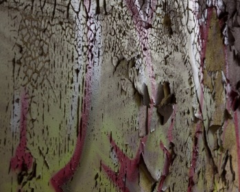 Vergänglichkeit eines Graffiti